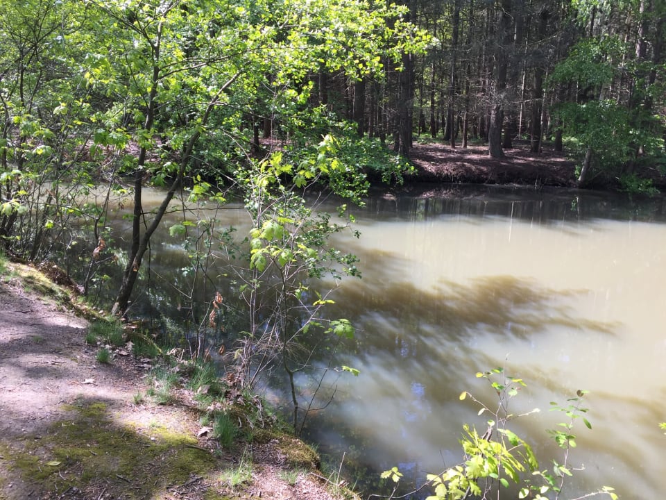 Gartenanlage Golfpark Gut Düneburg