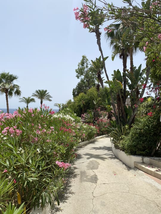 Gartenanlage Arbatax Park Resort - Dune