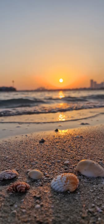 Ausblick Anantara The Palm Dubai Resort