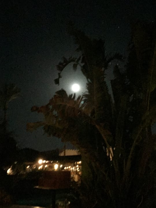 Pool Ghazala Gardens