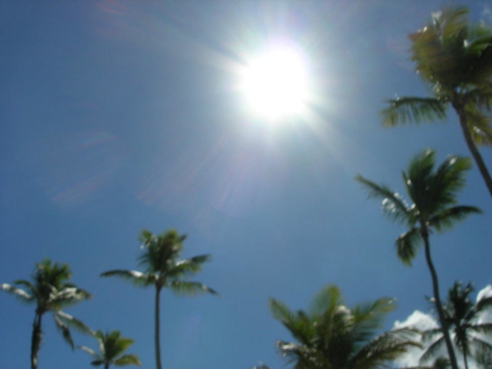 Hotel Grand Palladium Palace Resort, Spa & Casino Hotel Grand Palladium Palace Resort, Spa & Casino