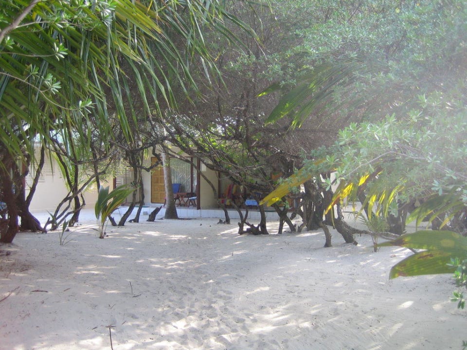 Blick vom Strand zum Bungalow Eri Maldives