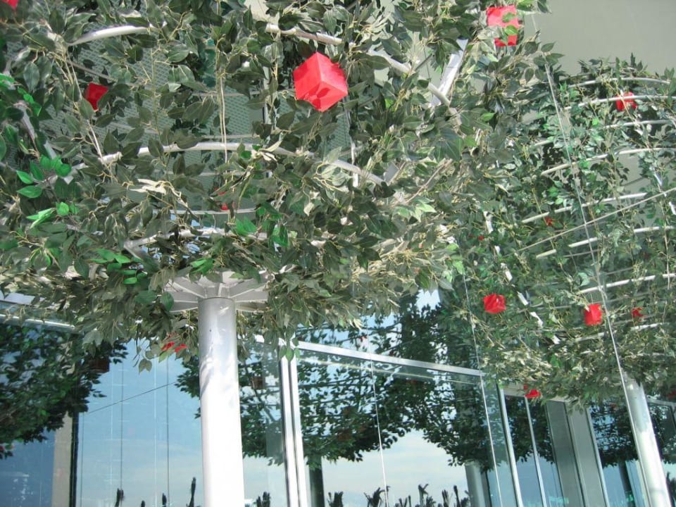 Adam&Eve Bäume Adam & Eve - Adults only