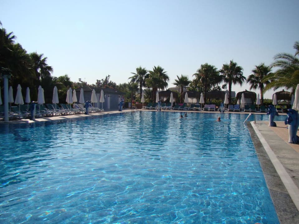 Релакс пулл Botanik Hotel & Resort