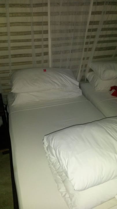 Betten immer mit Netz Okaukuejo Camp