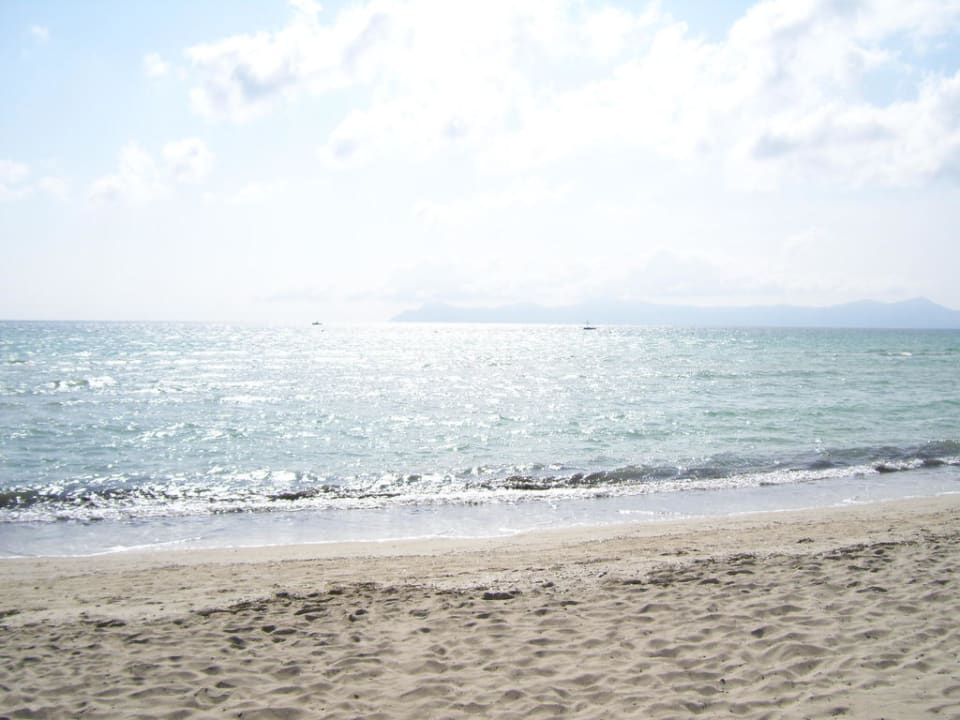 Blick auf das Meer Iberostar Waves Playa de Muro