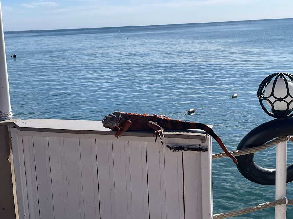 Strand Saturn Palace Resort Hotel