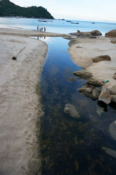Unmittelbar am Hotelstrand Panviman Resort Koh Phangan
