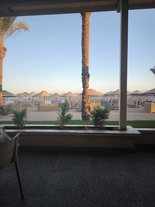 Gastro Beach Albatros Resort
