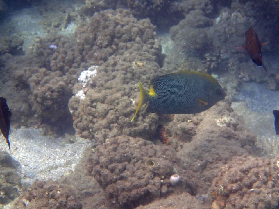 In the sea Three Corners Equinox Beach Resort
