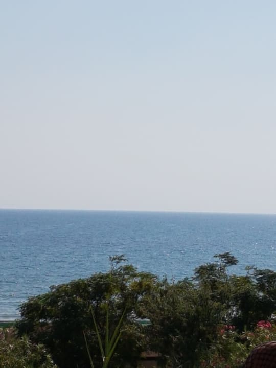 Ausblick FUN&SUN Smart Hane Sun Hotel