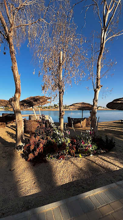 Gartenanlage Sheraton Miramar Resort El Gouna