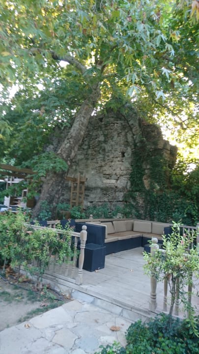 Gastro Can Garden Beach