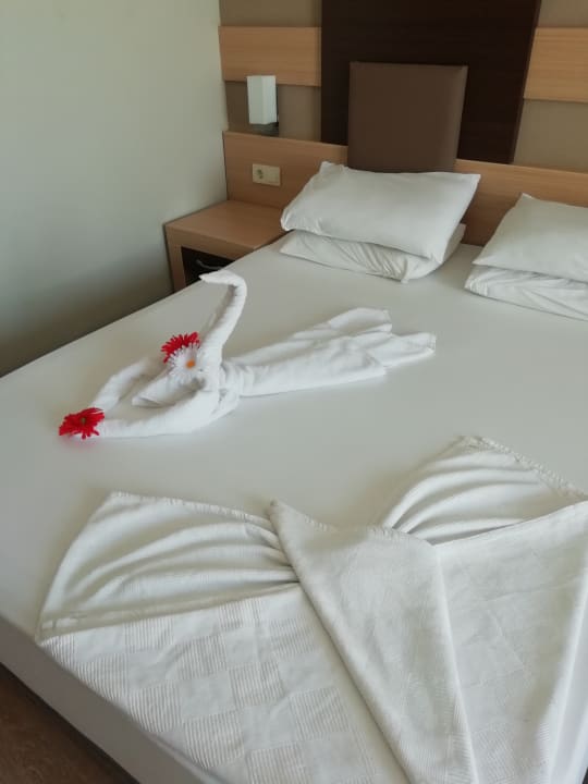 Zimmer Telatiye Resort