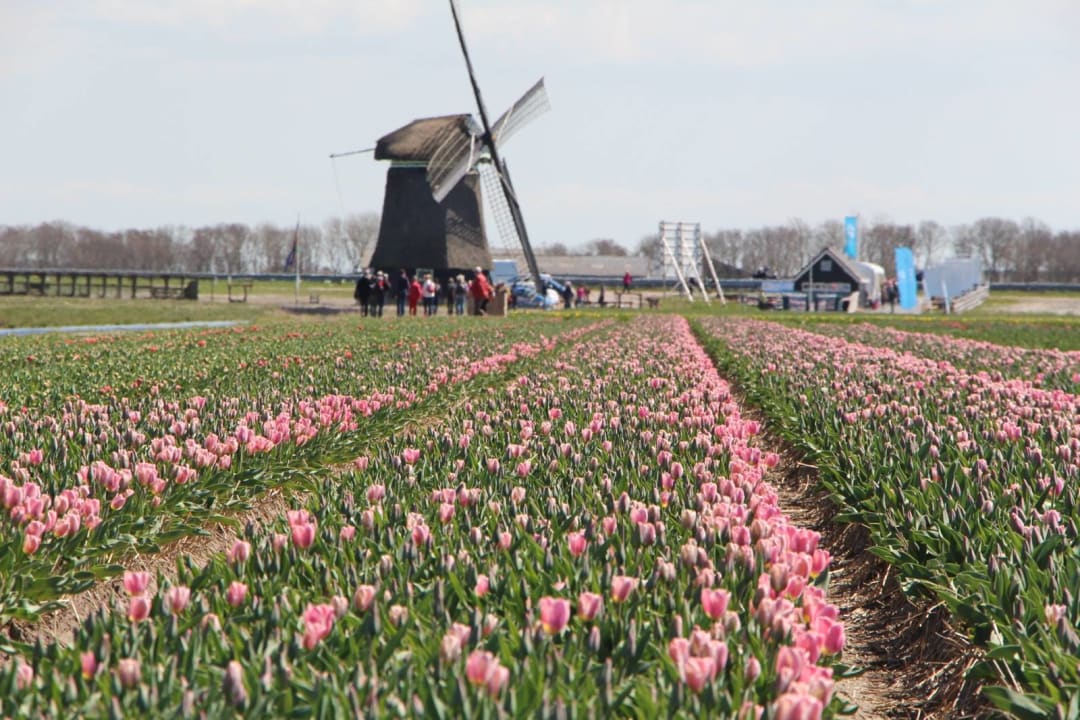 Sonstiges Hotel het Zwaantje