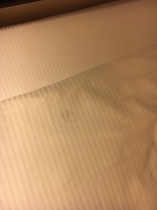 Zimmer Pickalbatros Citadel Resort