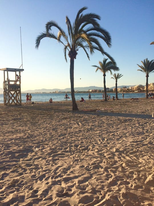 Strand HSM Reina del Mar