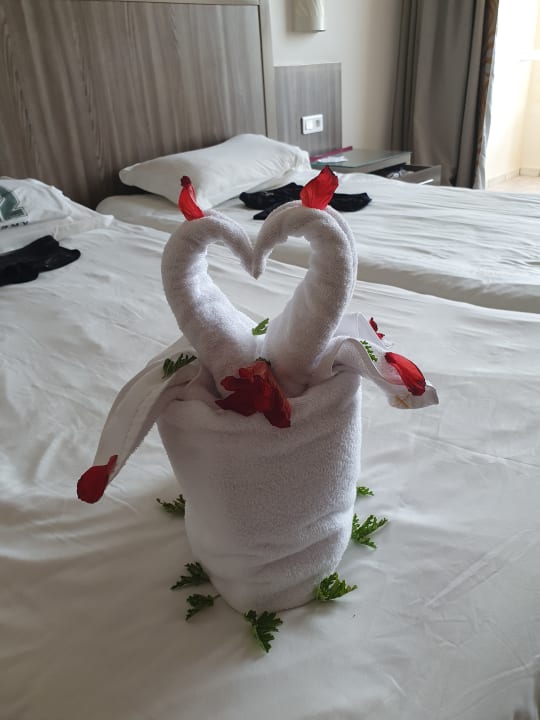 Zimmer Iberostar Waves Mehari Djerba