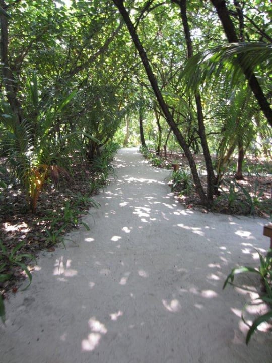 Weg zum Restaurant NH Collection Maldives Reethi Resort