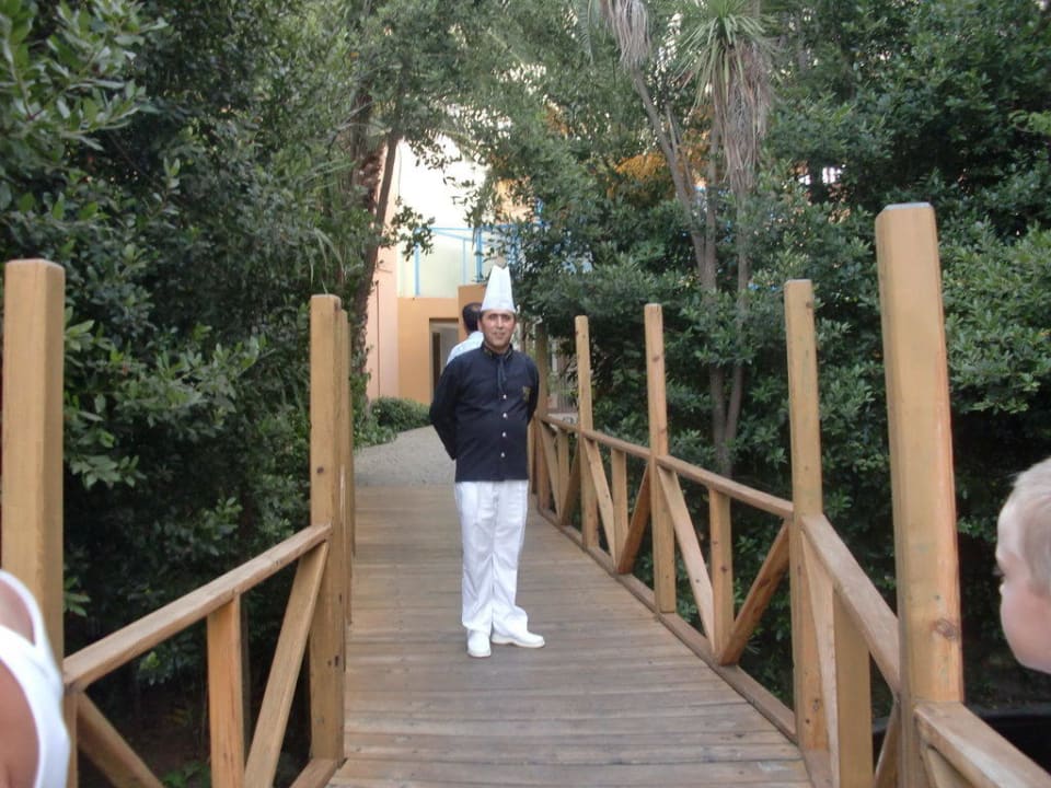 Chefkoch Asteria Collection Side