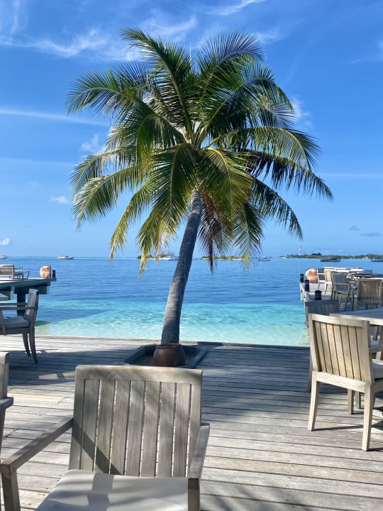 Ausblick Vilamendhoo Island Resort & Spa