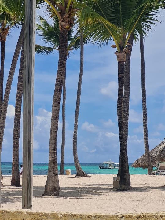 Strand Meliá Punta Cana Beach Resort - A Wellness Inclusive For Adults Only