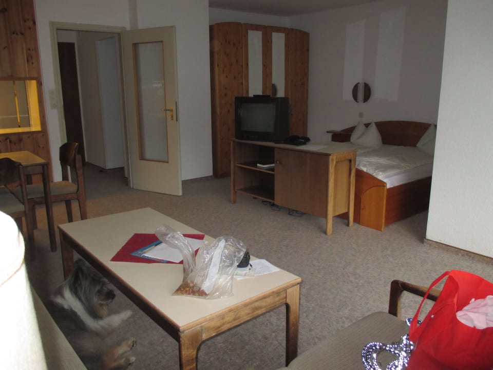 Standardappartement Panoramic - Ihr Apartmenthotel im Harz