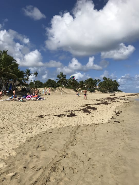 Strand Viva Tangerine by Wyndham - All Inclusive Resort