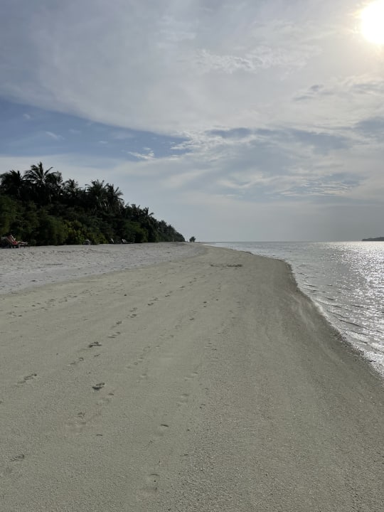 Strand Cocoon Maldives Hinnavaru HolidayCheck Lhaviyani Atoll Malediven