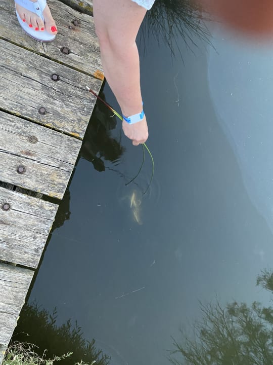 Sonstiges PortBlue Club Pollentia Resort & Spa