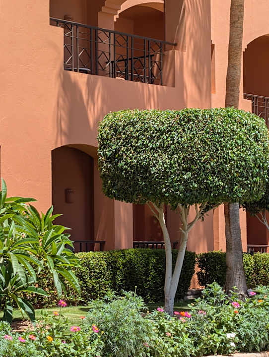 Gartenanlage Jaz Makadi Oasis Resort