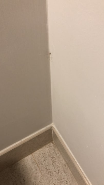 Zimmer Lopesan Costa Bávaro Resort, Spa & Casino