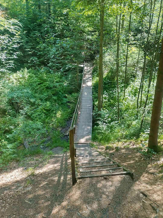 Ausblick Acapulco Beach Club & Resort