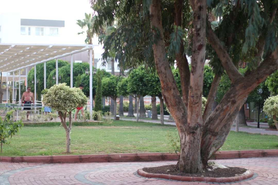 Gartenanlage Lonicera Resort & Spa Hotel