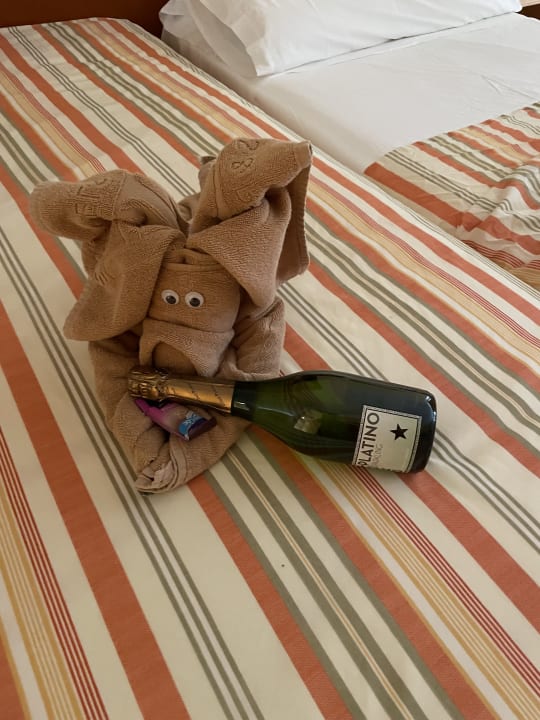 Zimmer SBH Costa Calma Beach Resort