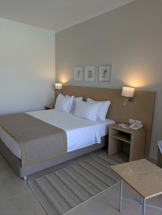 Zimmer JAZ Elite Asteria