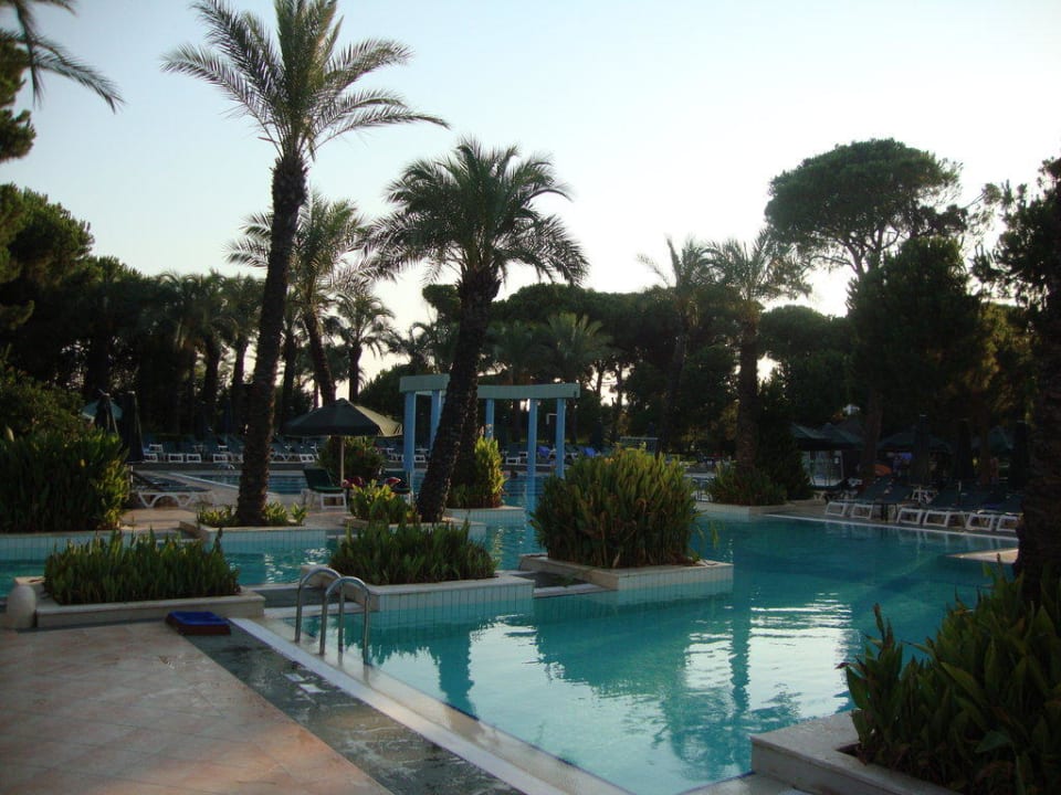 Pool IC Hotels Green Palace