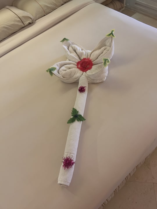 Zimmer Makadi Spa - Adults only