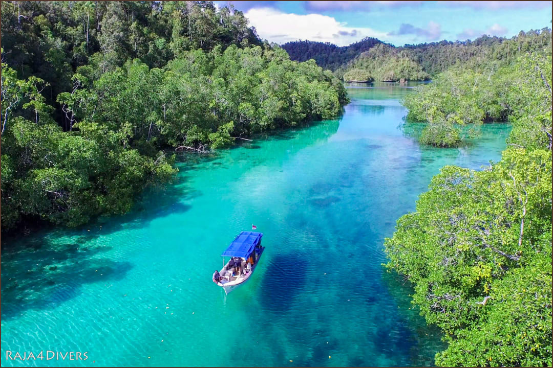 Sport & Freizeit Raja4divers Resort