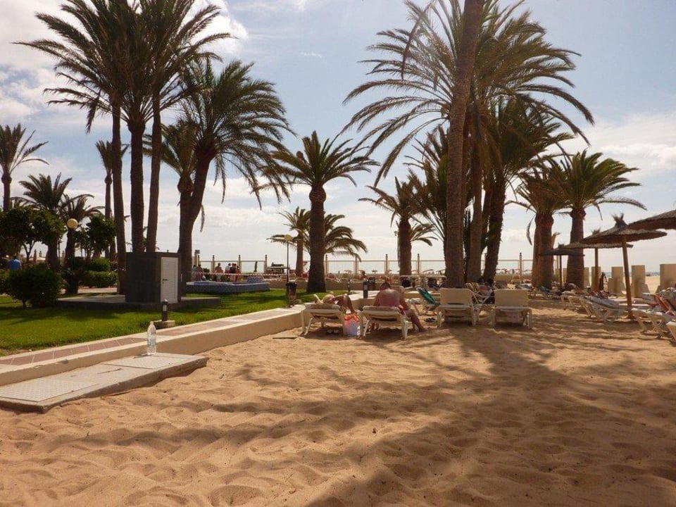 Hotelanlage und Resort Hotel Riu Oliva Beach - Hotel