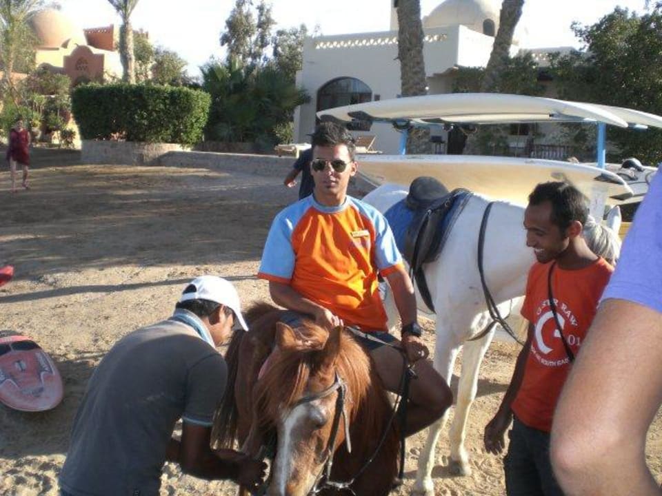 Zorro und sein "Horst" Hotel Three Corners Ocean View prestige - Adults only