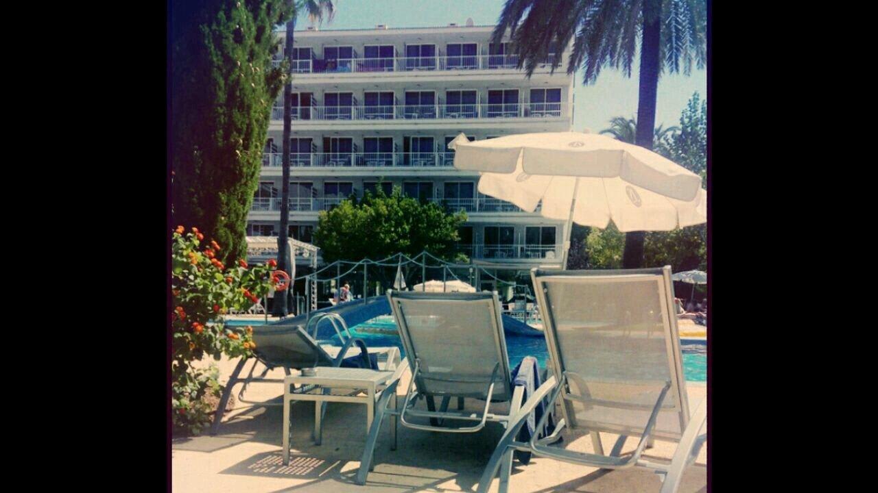 Sehr schöne Liegen und Anlage! JS Hotel Sol de Alcudia