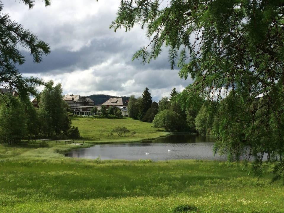 Blick vom Adlerweiher zum Hotel Hotel Reppert