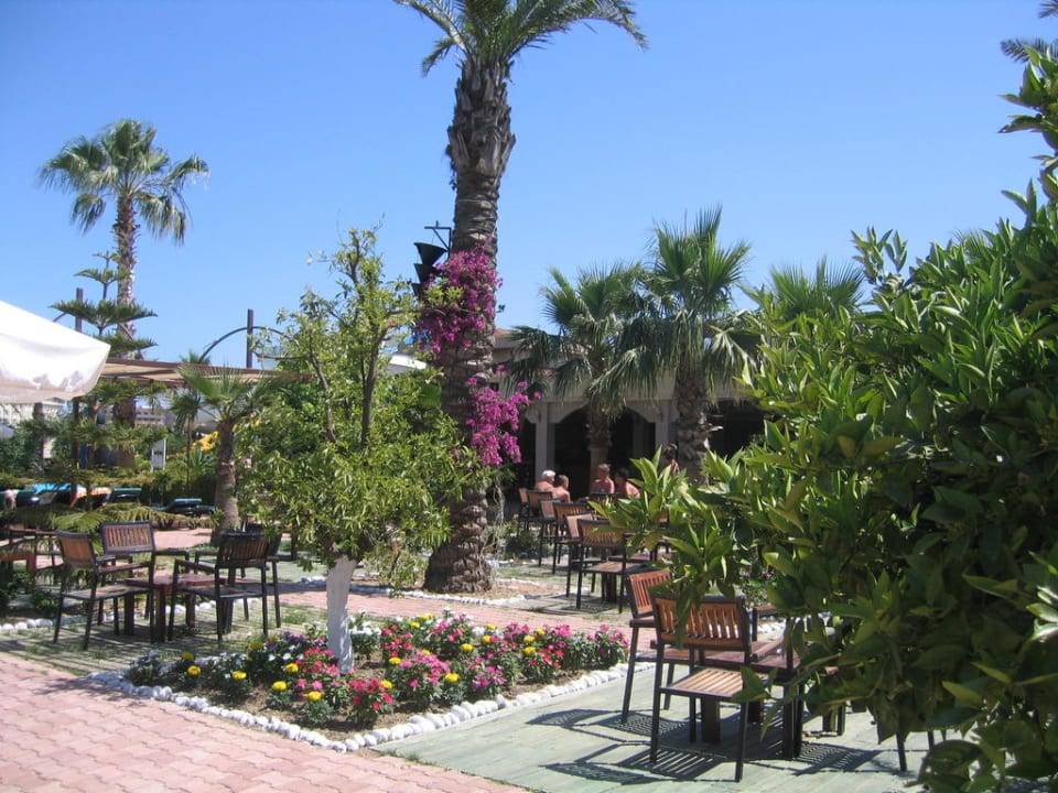 Anlage an der Tropical Bar Hane Family Resort