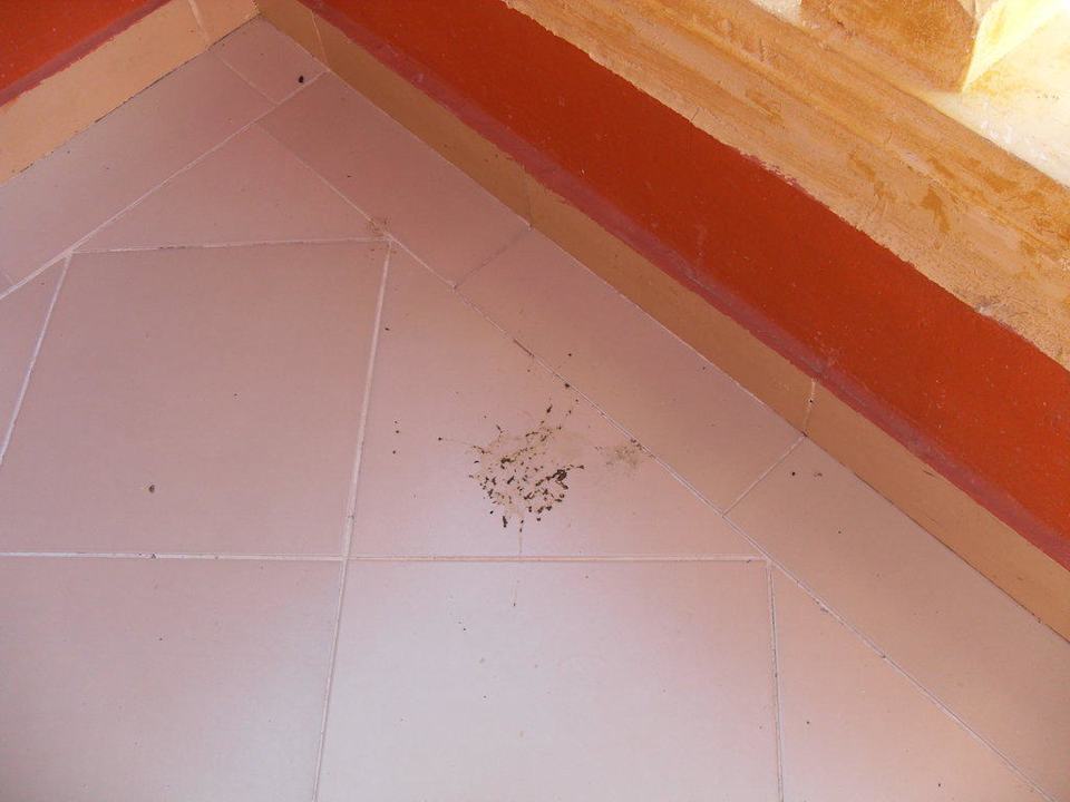 Balkon mit Taubenkacke Pickalbatros Alf Leila Wa Leila Resort - Neverland Hurghada