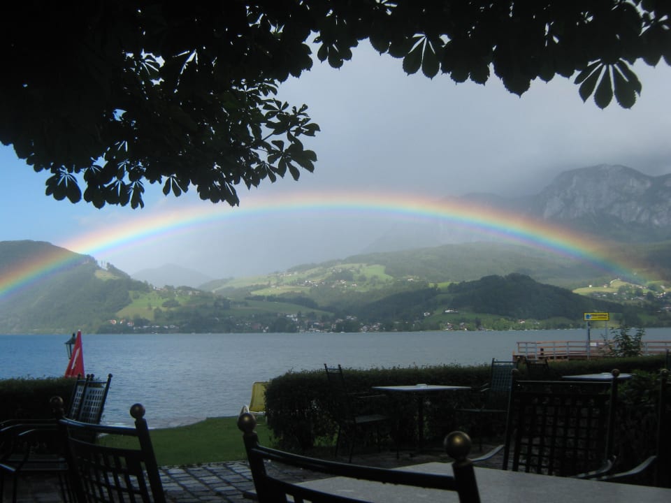 Blick auf den See Hotel Stadler am Attersee