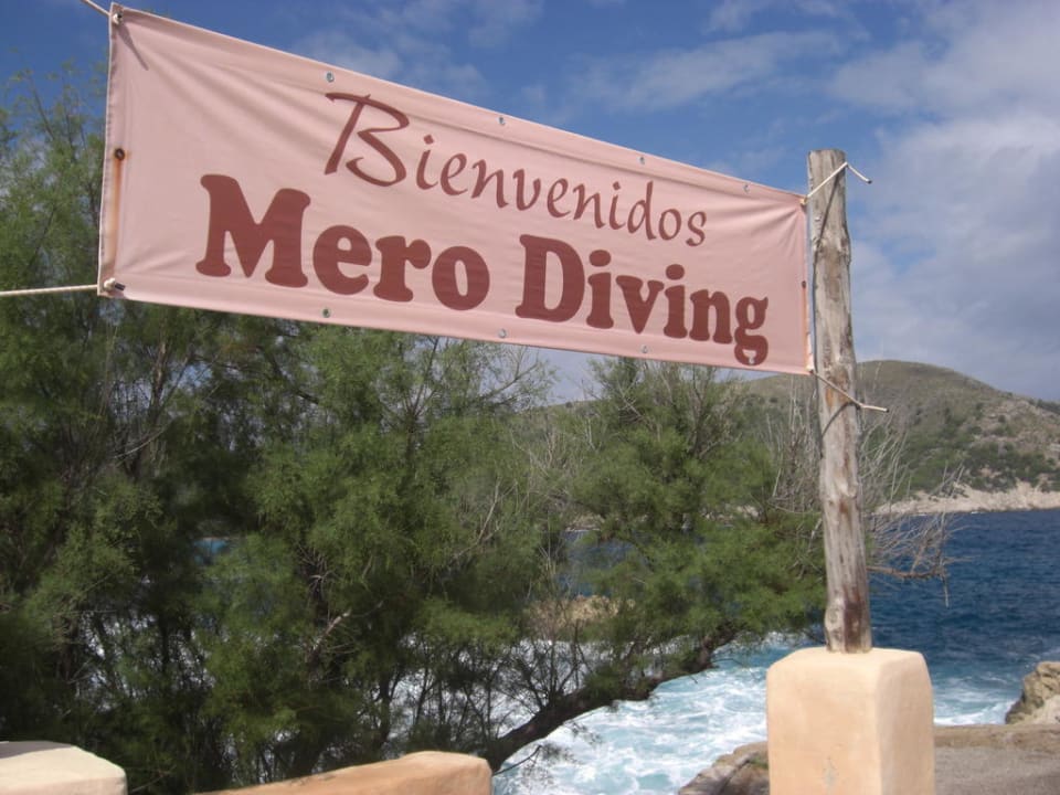 Tauchen Parque Nereida Suites Hotel