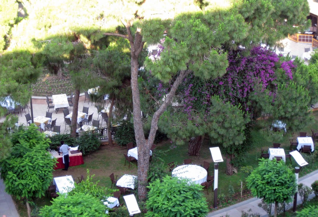 Außenbereich Restaurant Papillon Ayscha