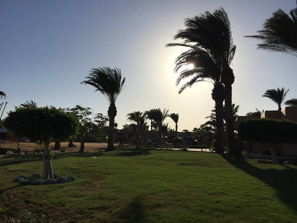 Gartenanlage Club Paradisio El Gouna, Red Sea