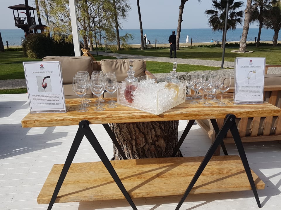 Gastro Acanthus Cennet Barut Collection